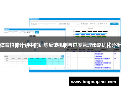 体育拉伸计划中的训练反馈机制与进度管理策略优化分析